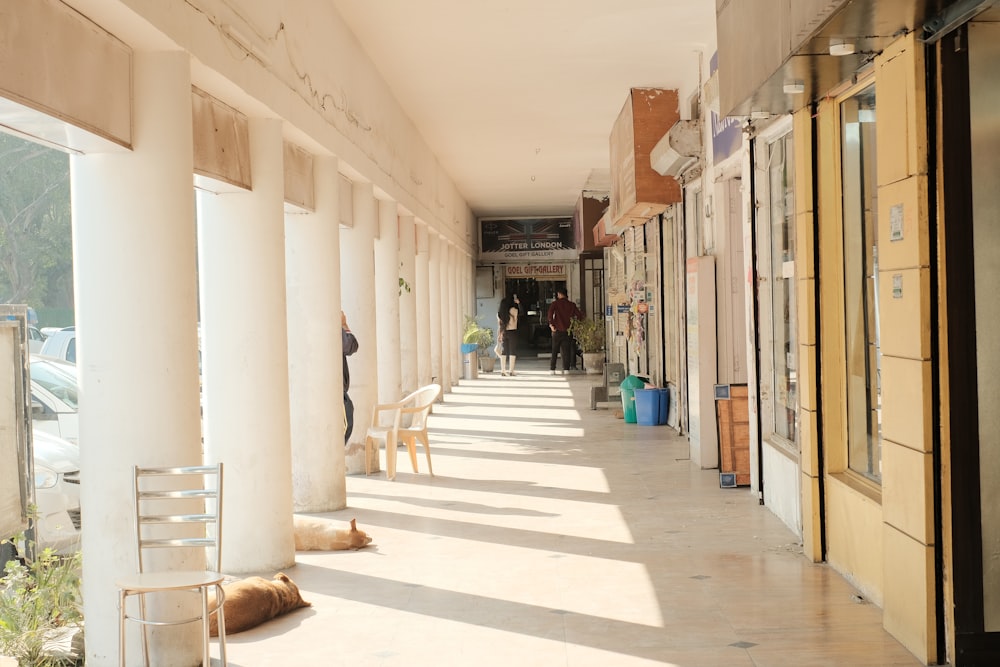 a row of white columns on the side of a building