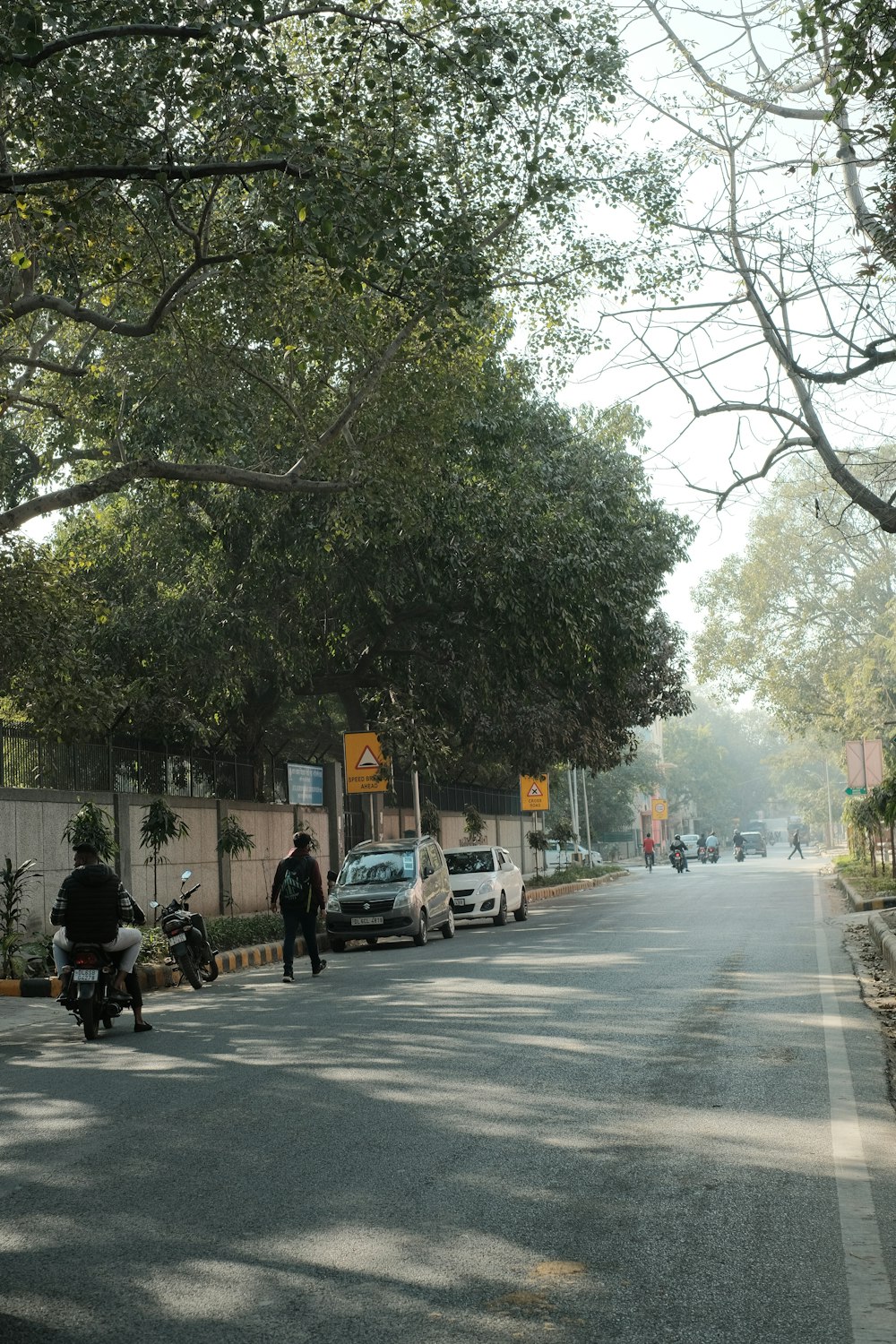a man riding a motorcycle down a tree lined street