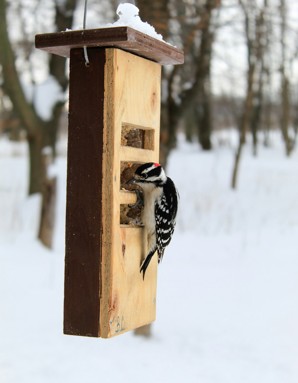 a bird that is standing on a bird feeder