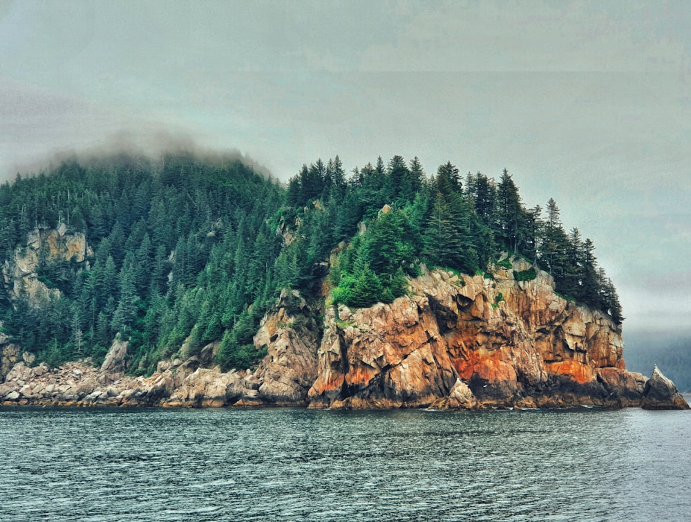 a small island surrounded by trees in the middle of a body of water