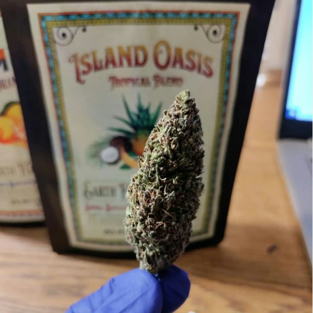 a person holding a weed in front of a bottle of island oasis