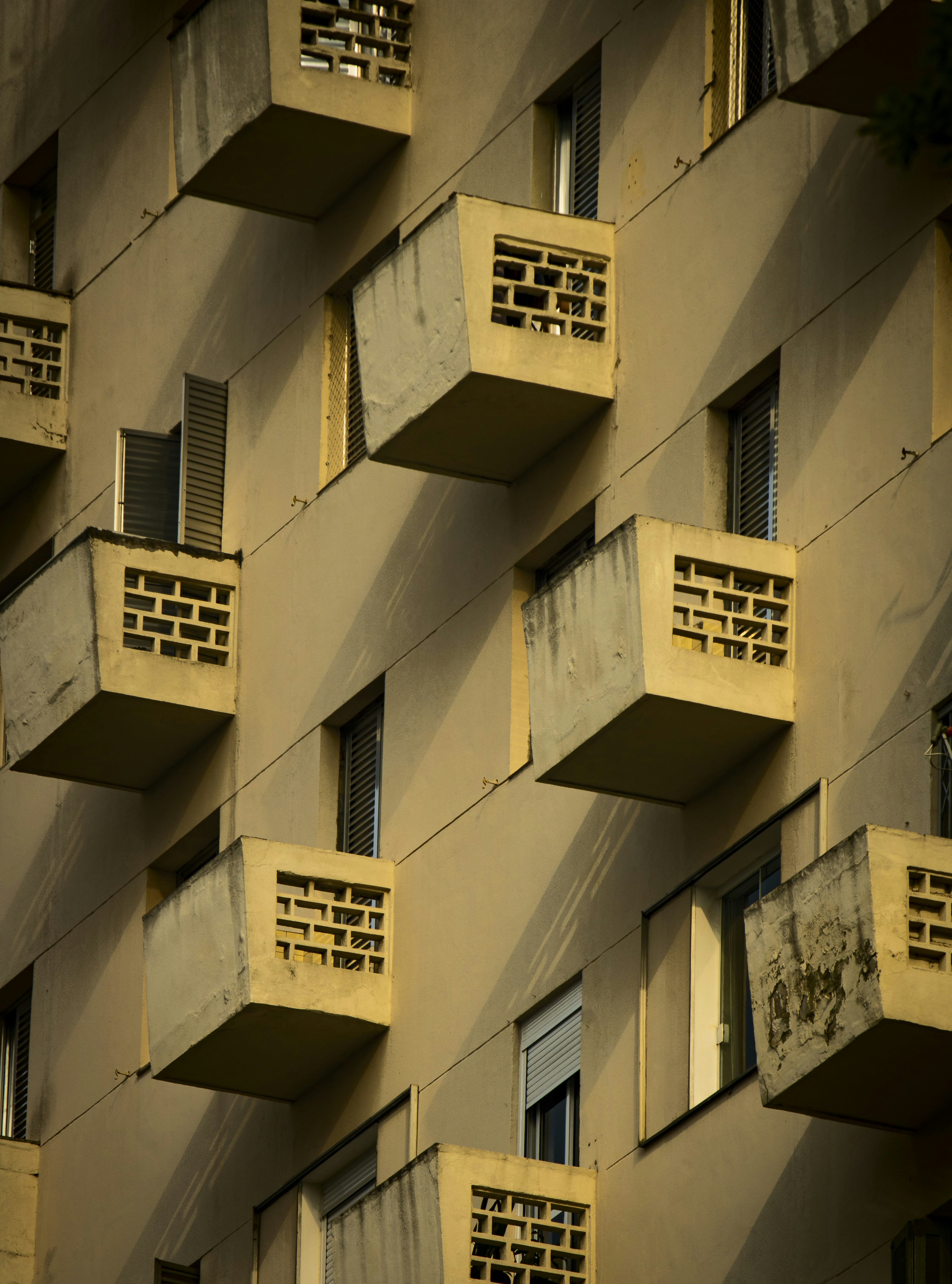 Photo by paulo_pescada