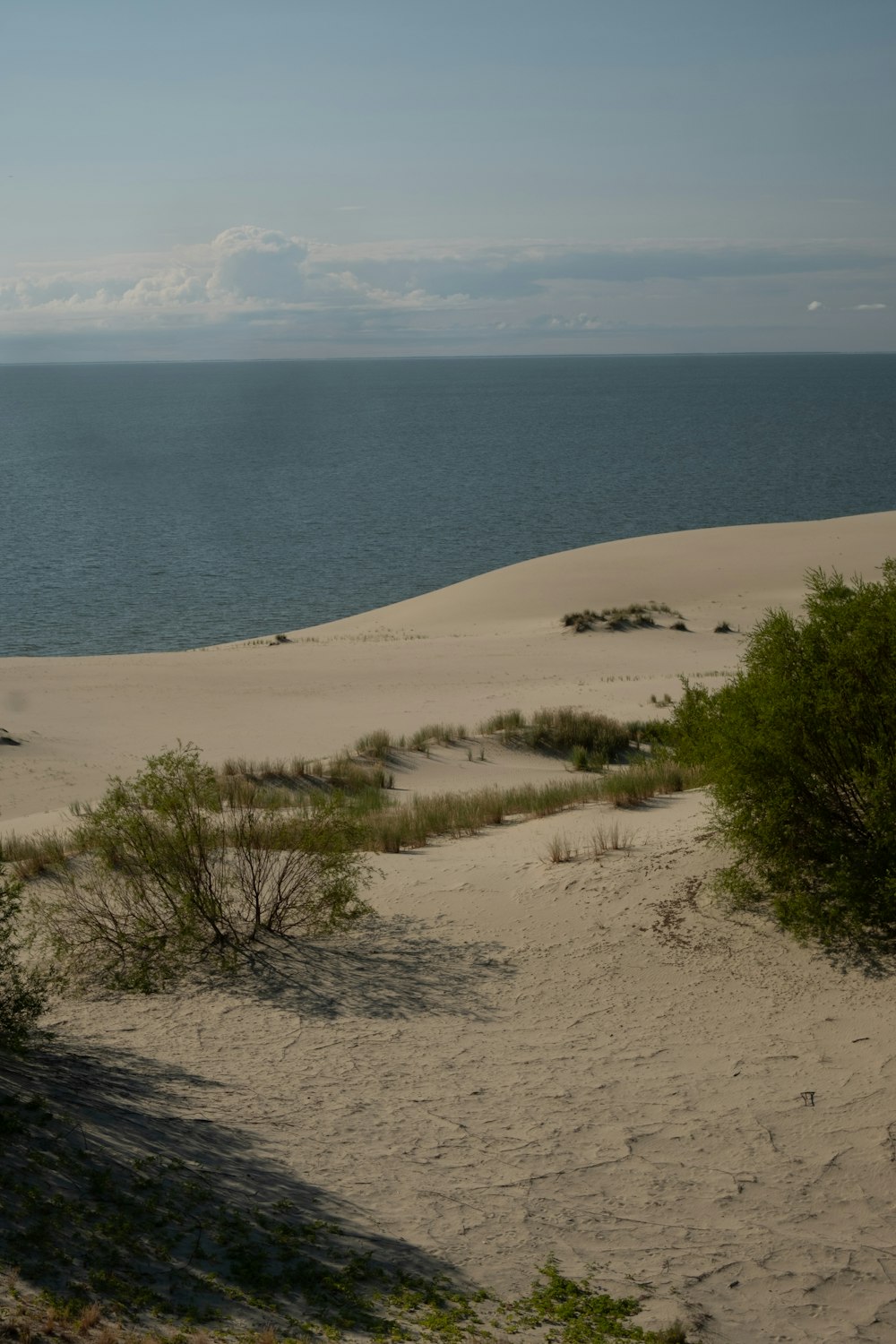 a view of the ocean from a sand dune