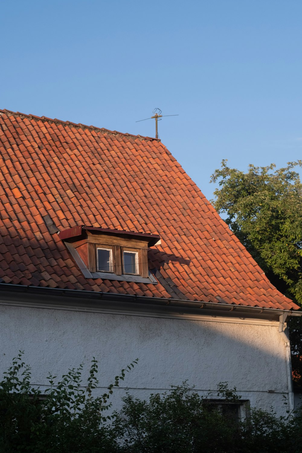 a red tiled roof with a window and a weather vane