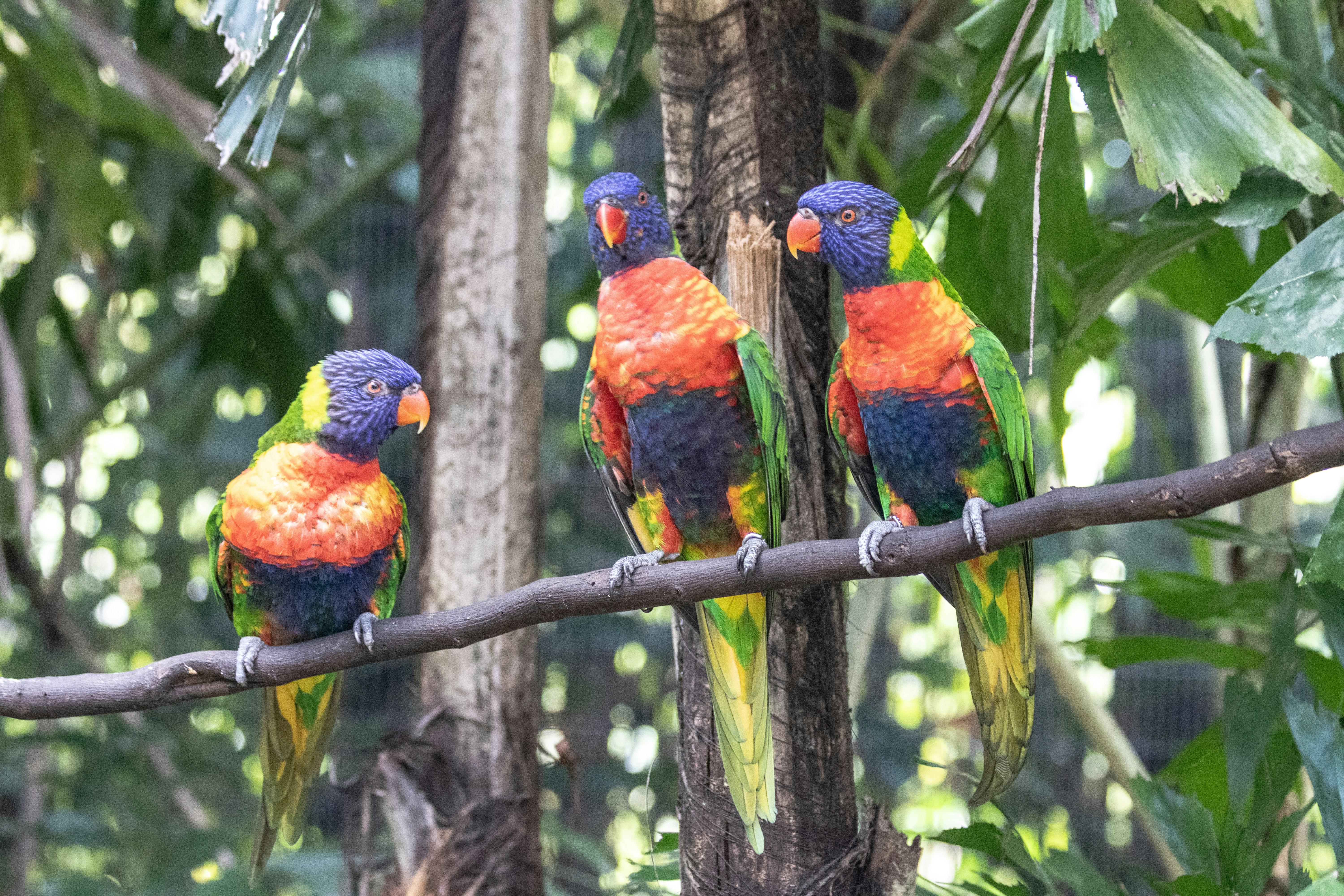 Photo by jacqueline_flock