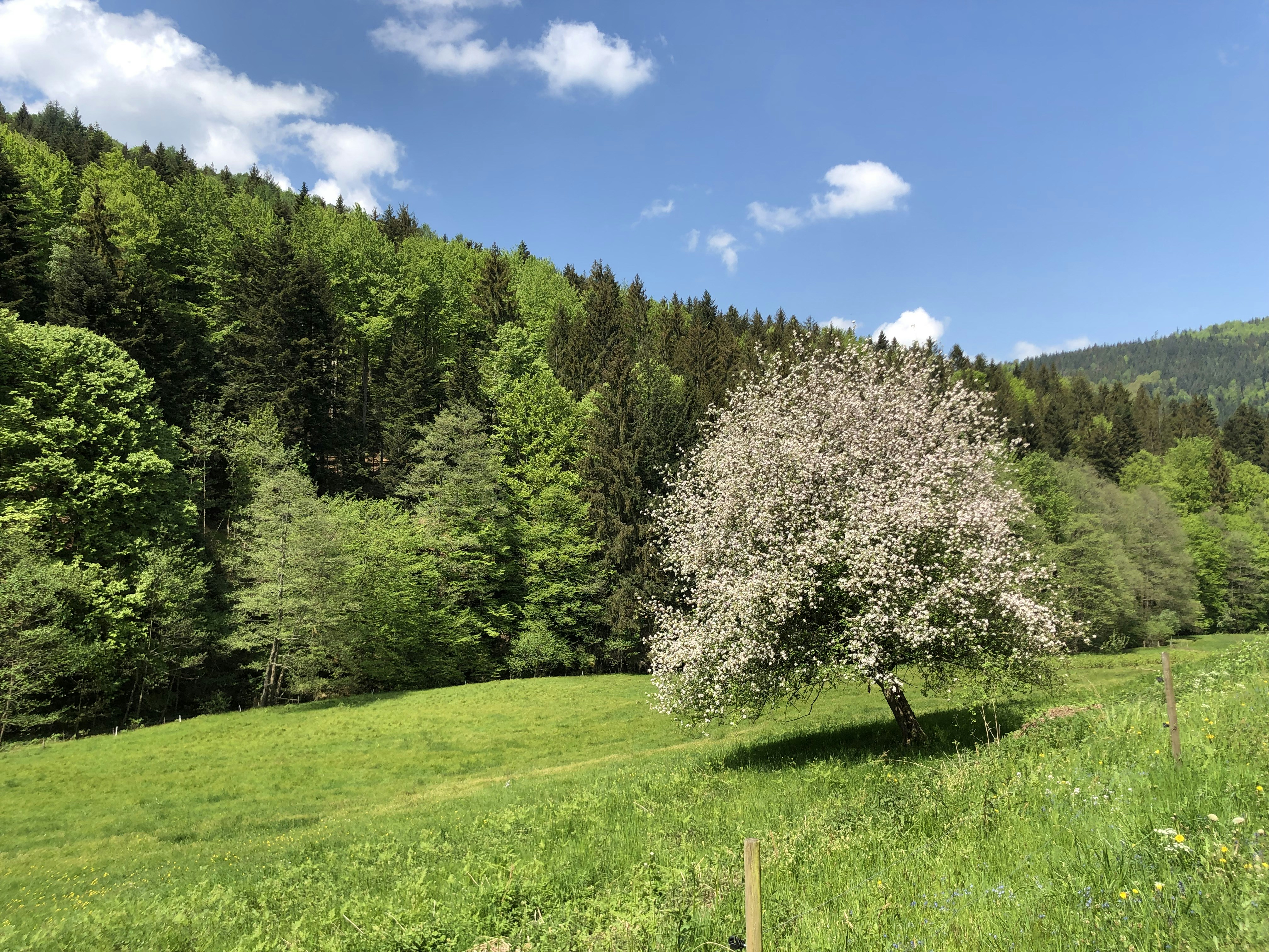 Image by Luz Light via Unsplash