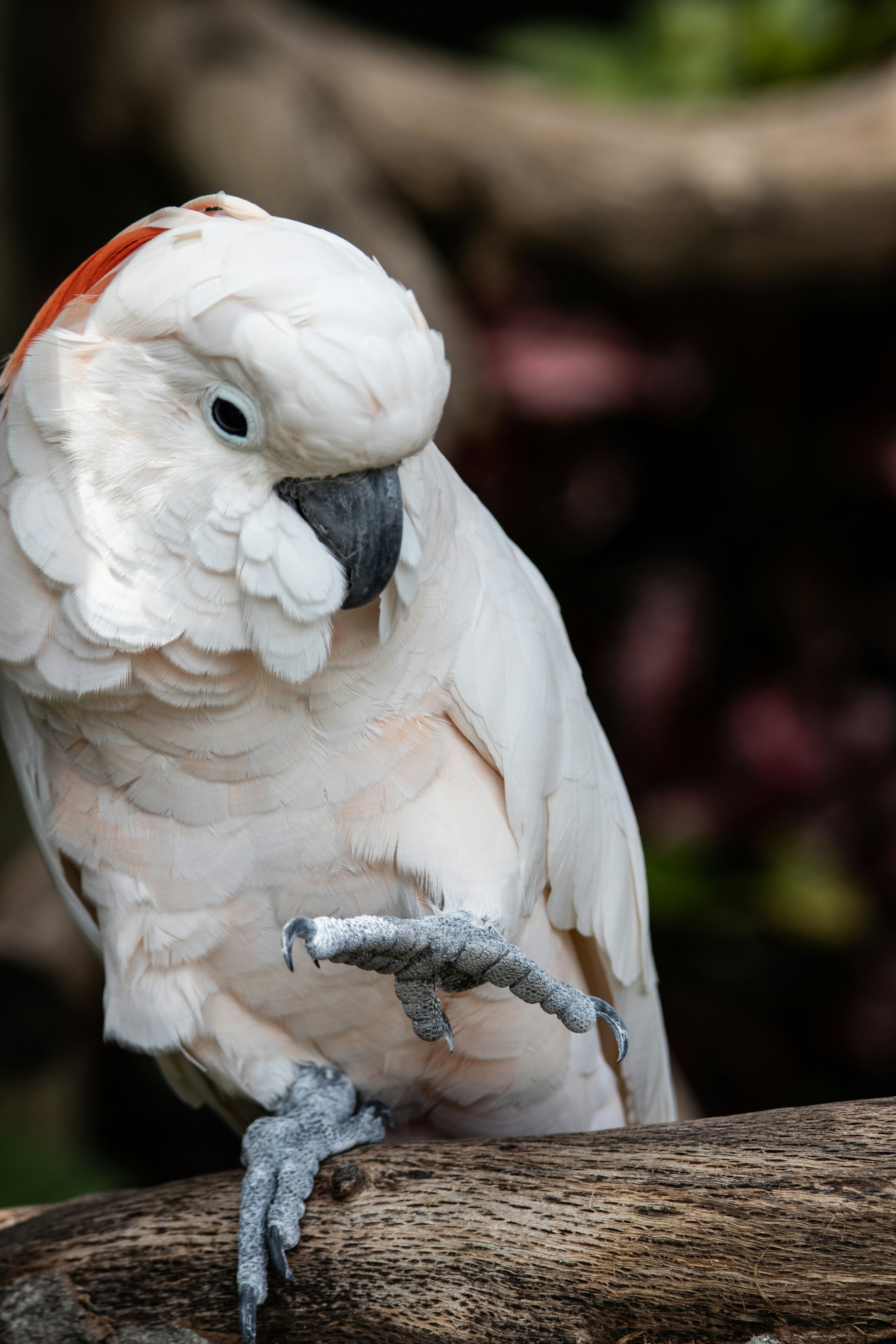 Photo by jacqueline_flock