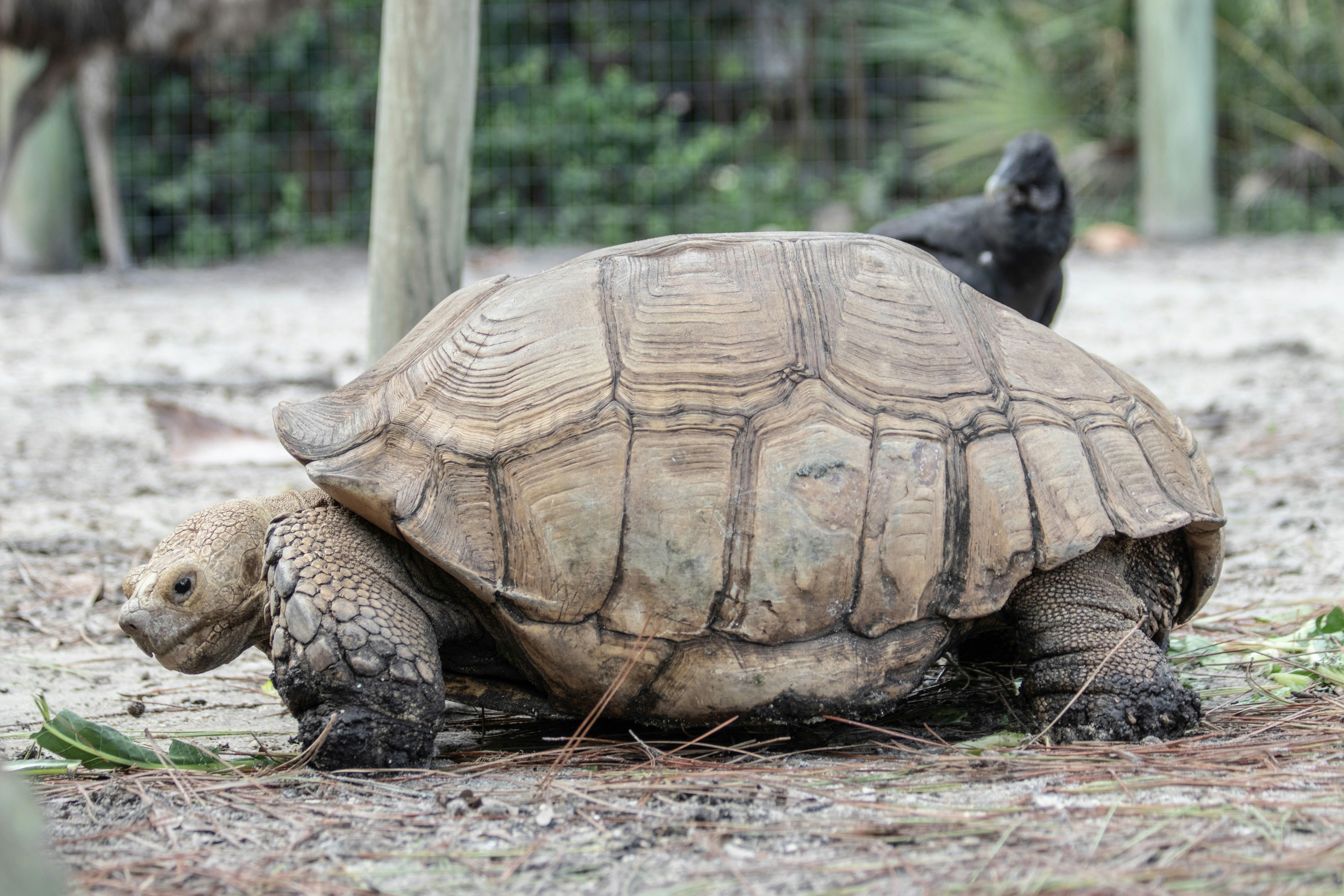 Photo by jacqueline_flock