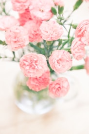Photo 1674940955559 60952bc8c99b?q=85&w=275&h=275&fit=crop