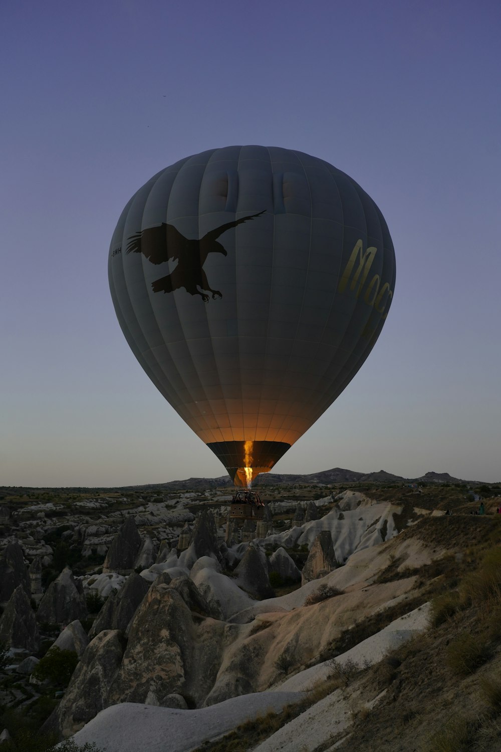 a hot air balloon with a bird on it