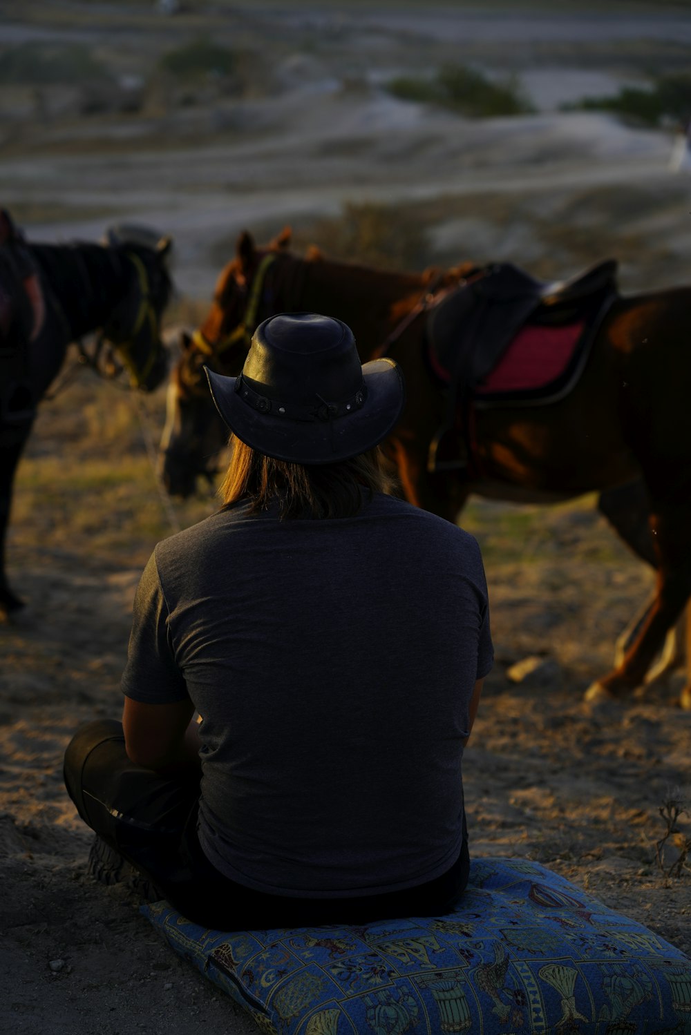 a person sitting on a pillow with horses in the background