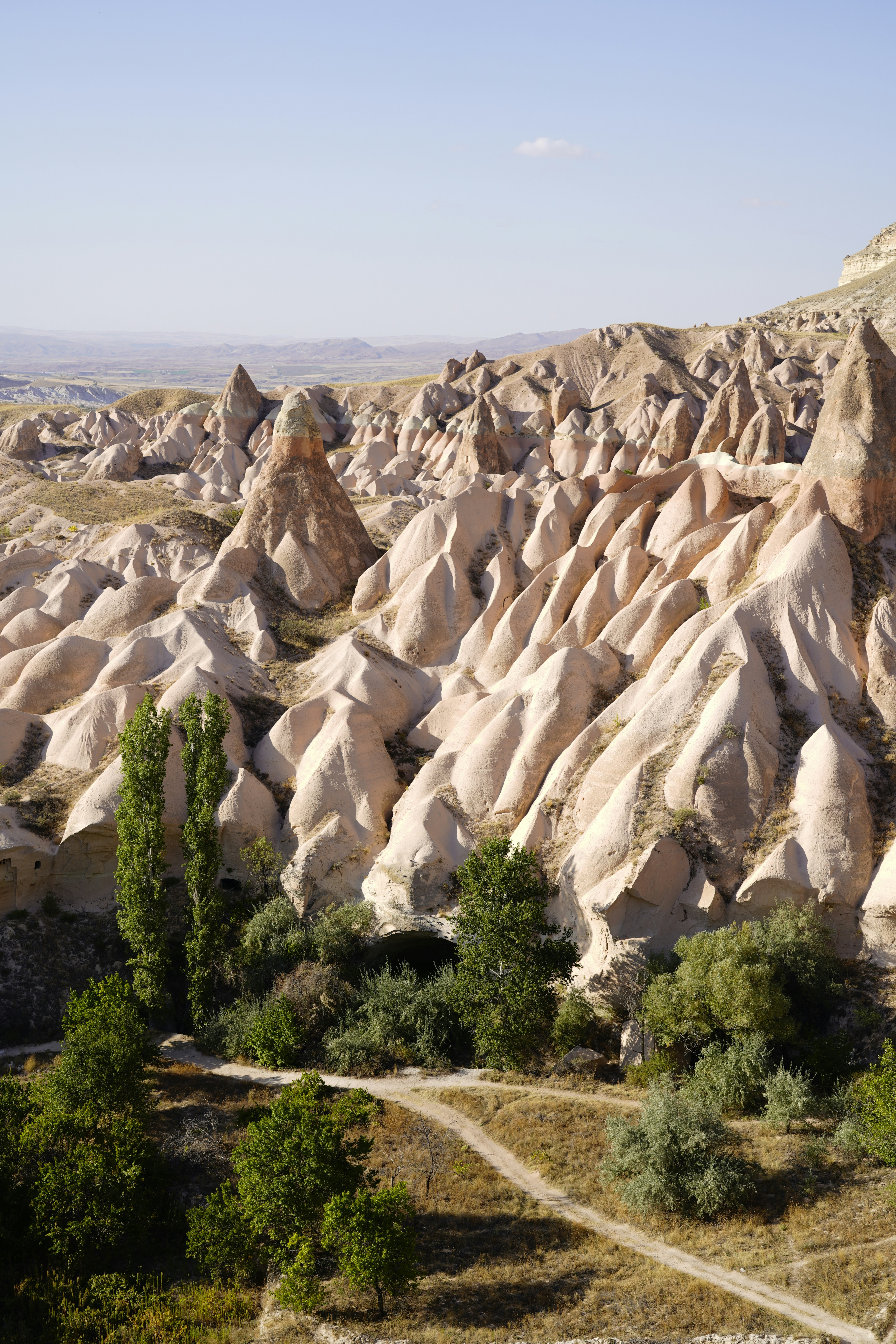 Photo by millieaustin94