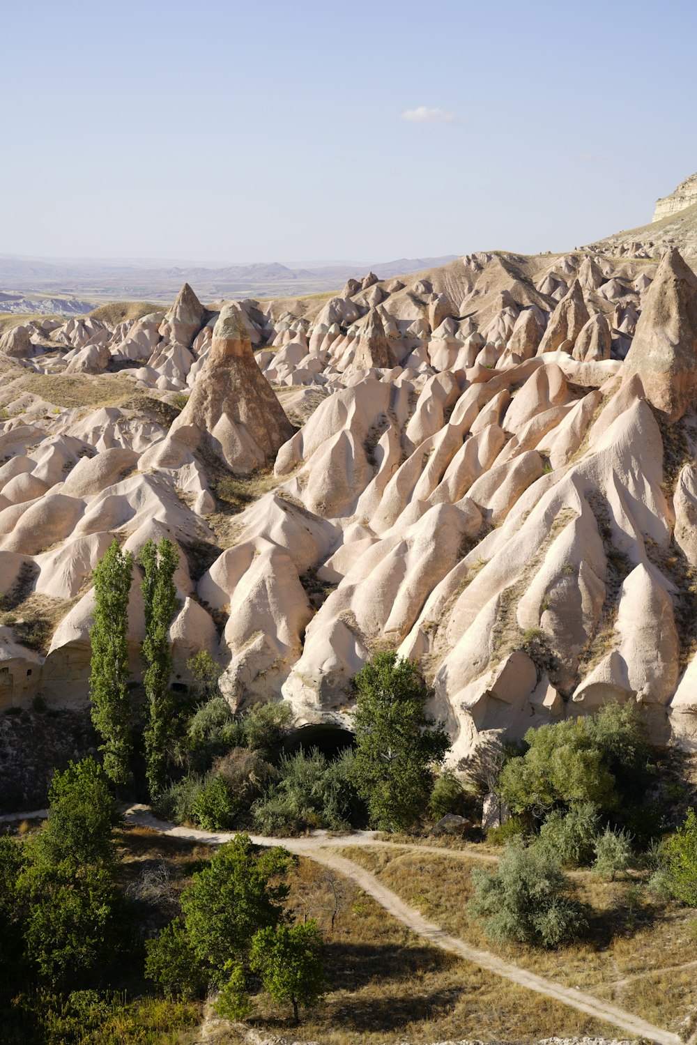 a large group of rocks in the middle of a field