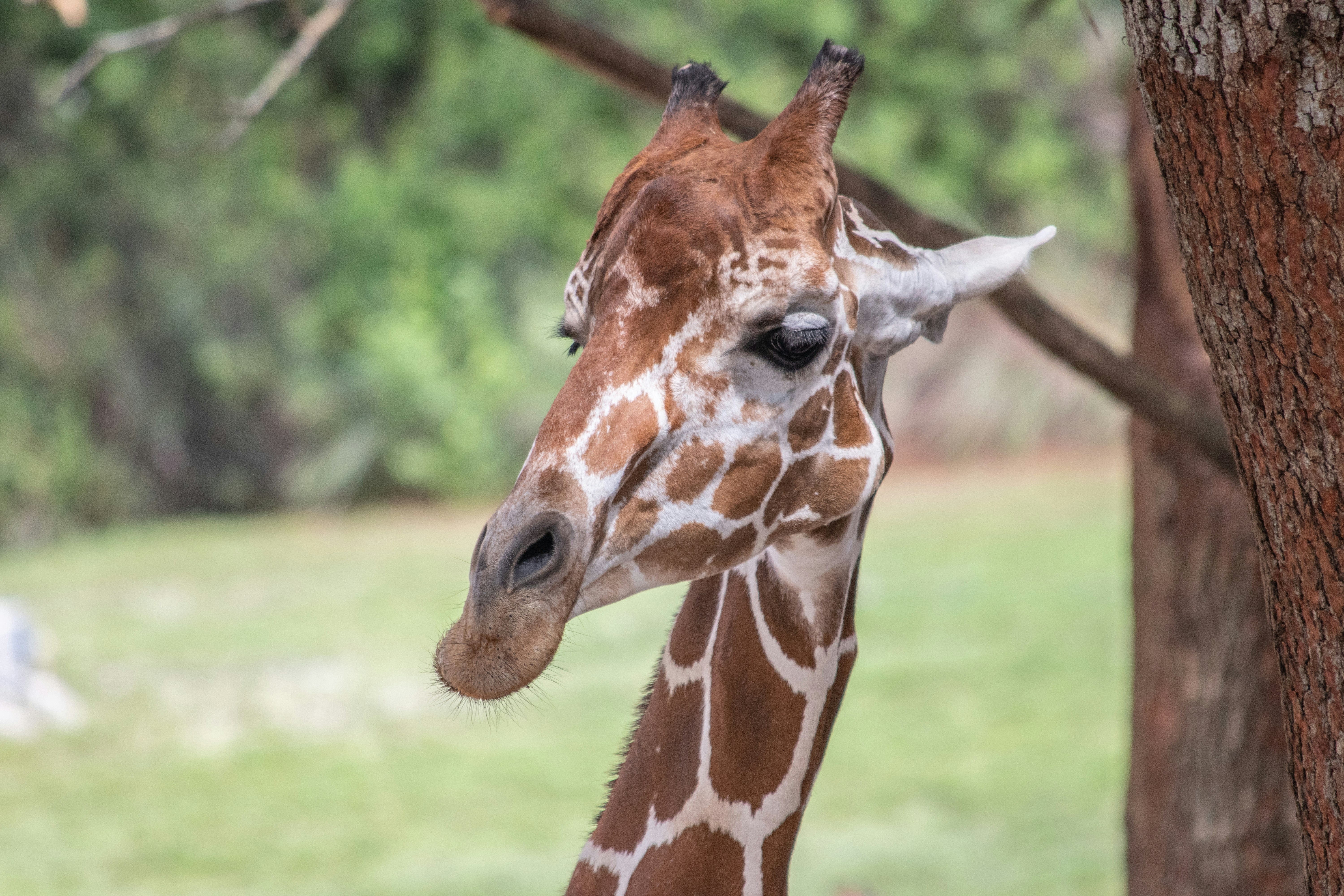 Photo by jacqueline_flock