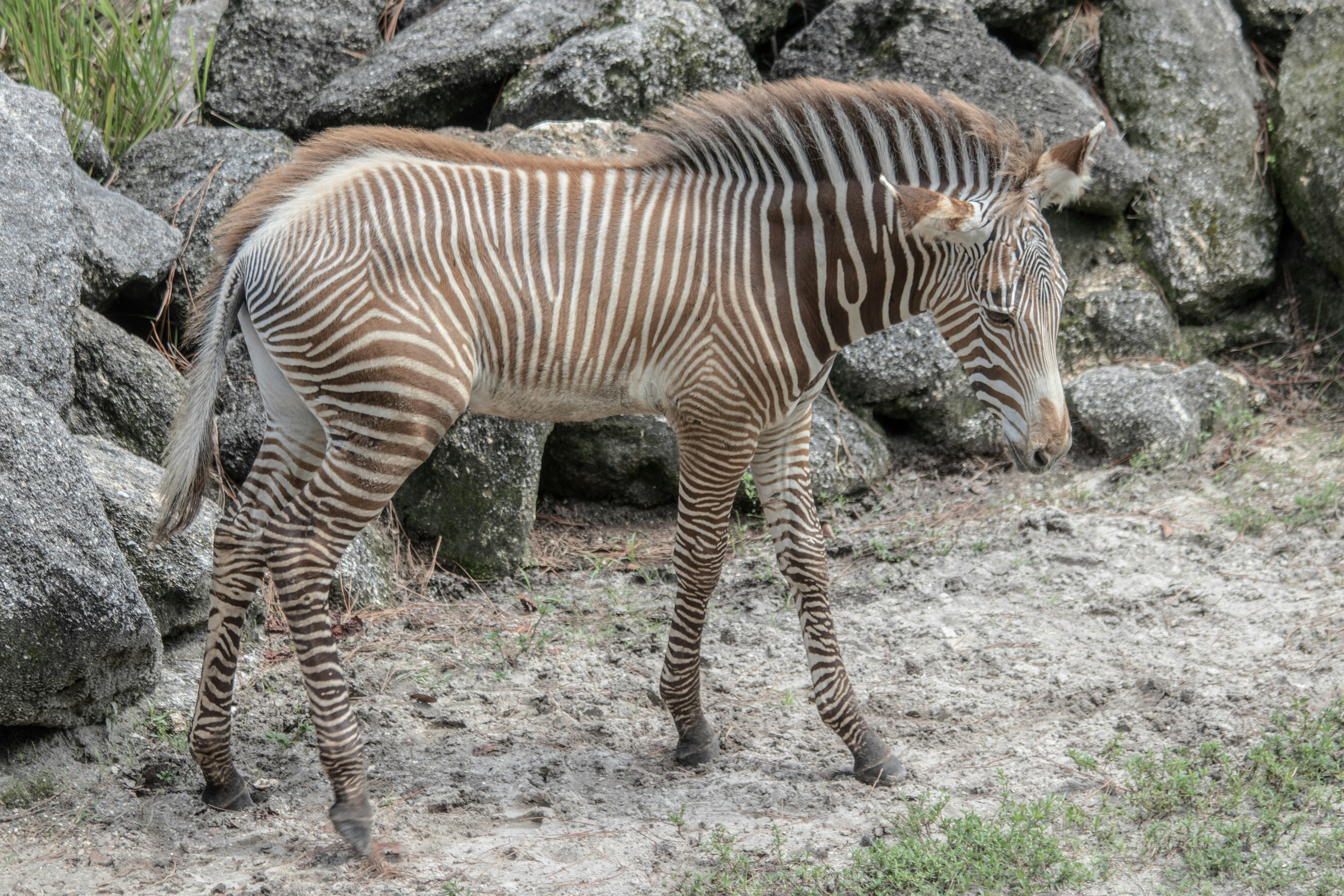 Photo by jacqueline_flock