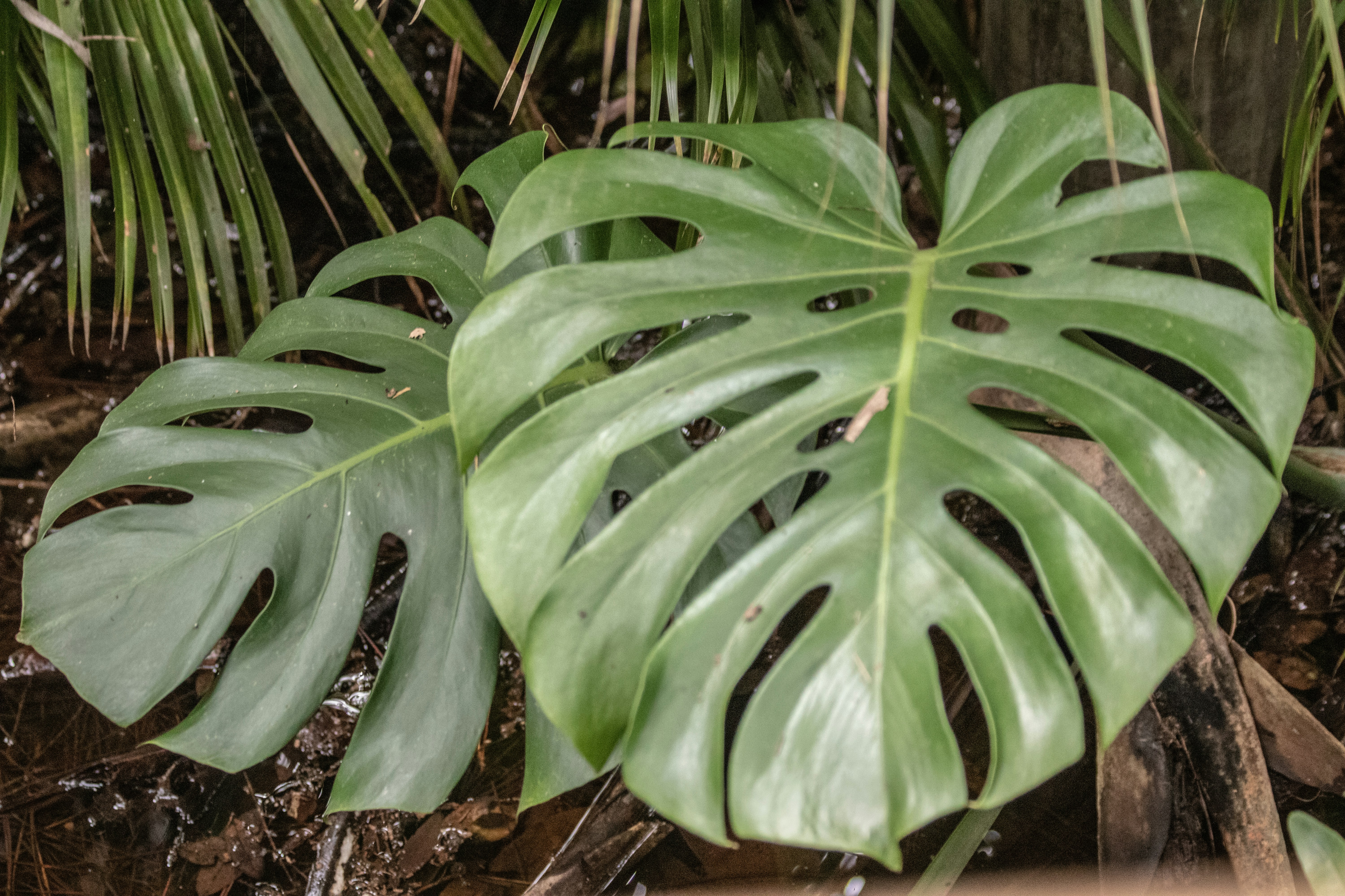 Photo by jacqueline_flock