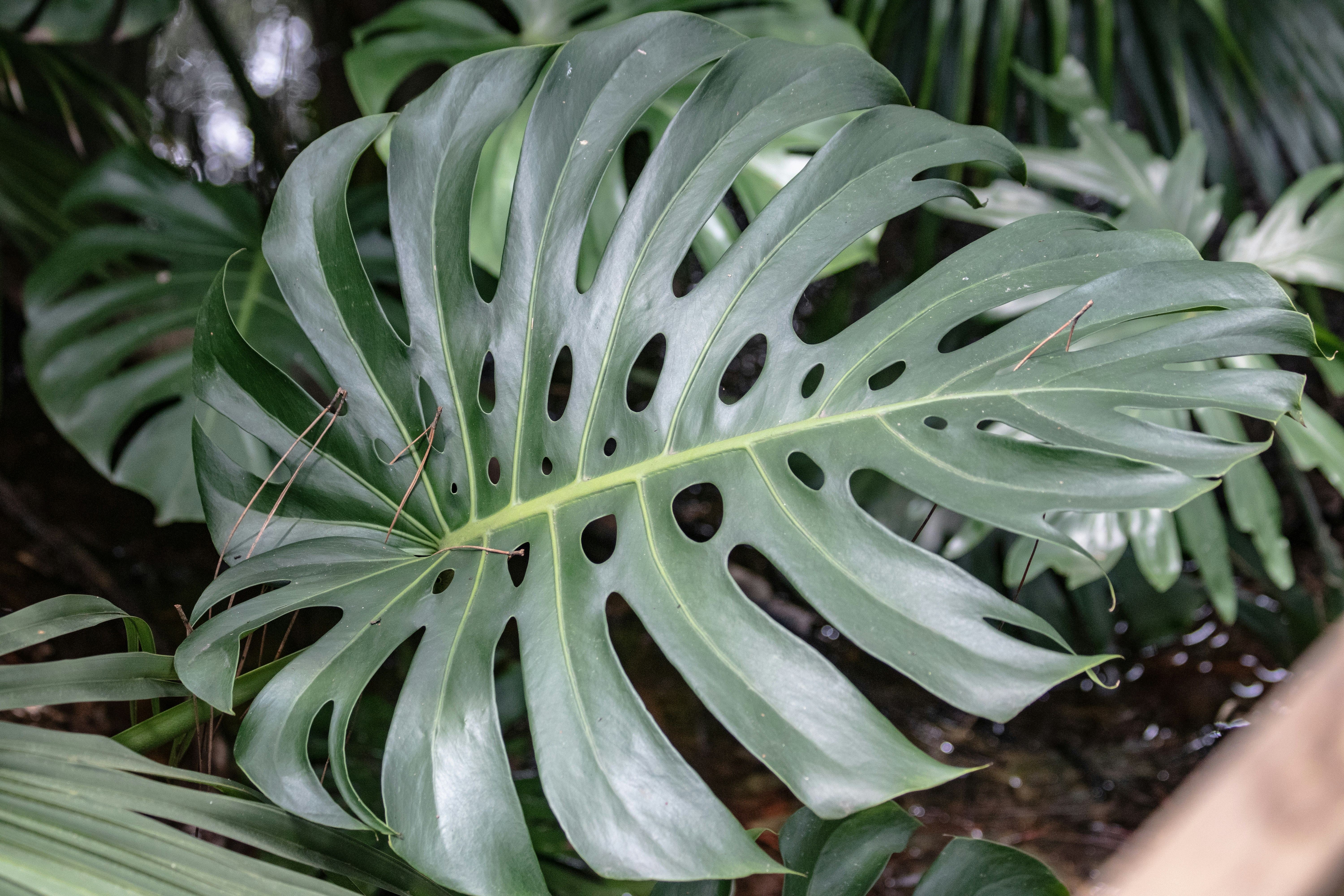 Photo by jacqueline_flock