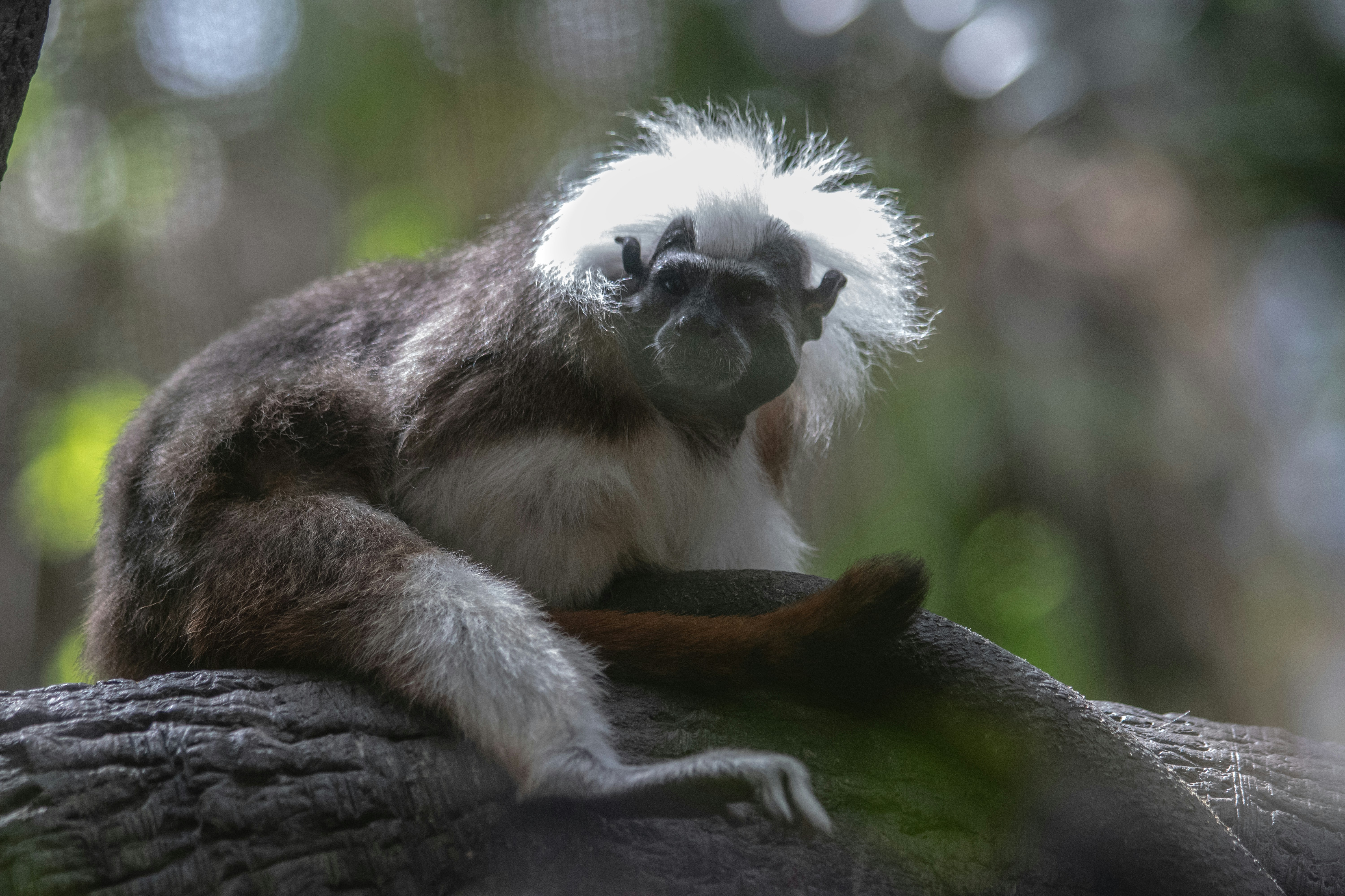 Photo by jacqueline_flock