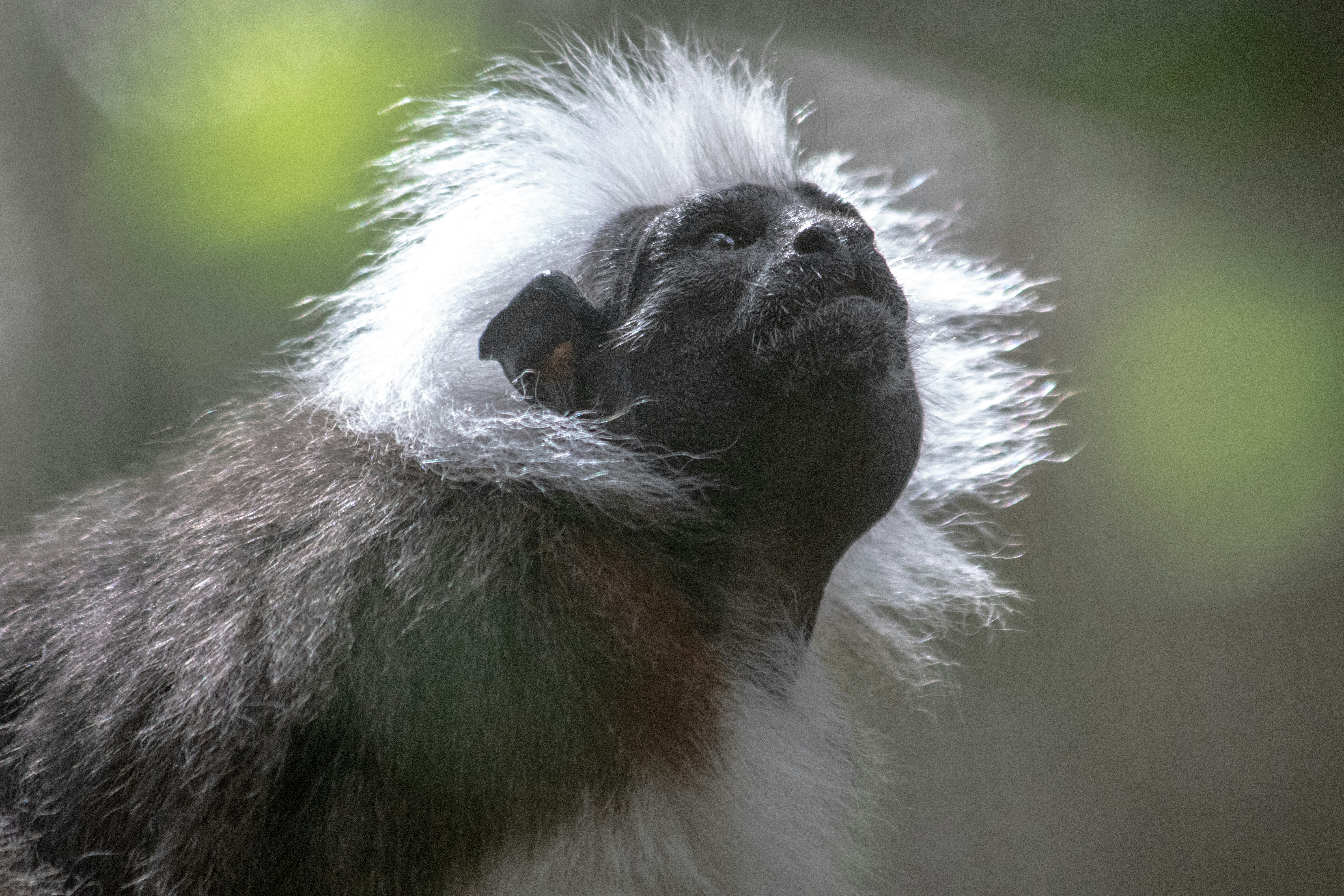 Photo by jacqueline_flock