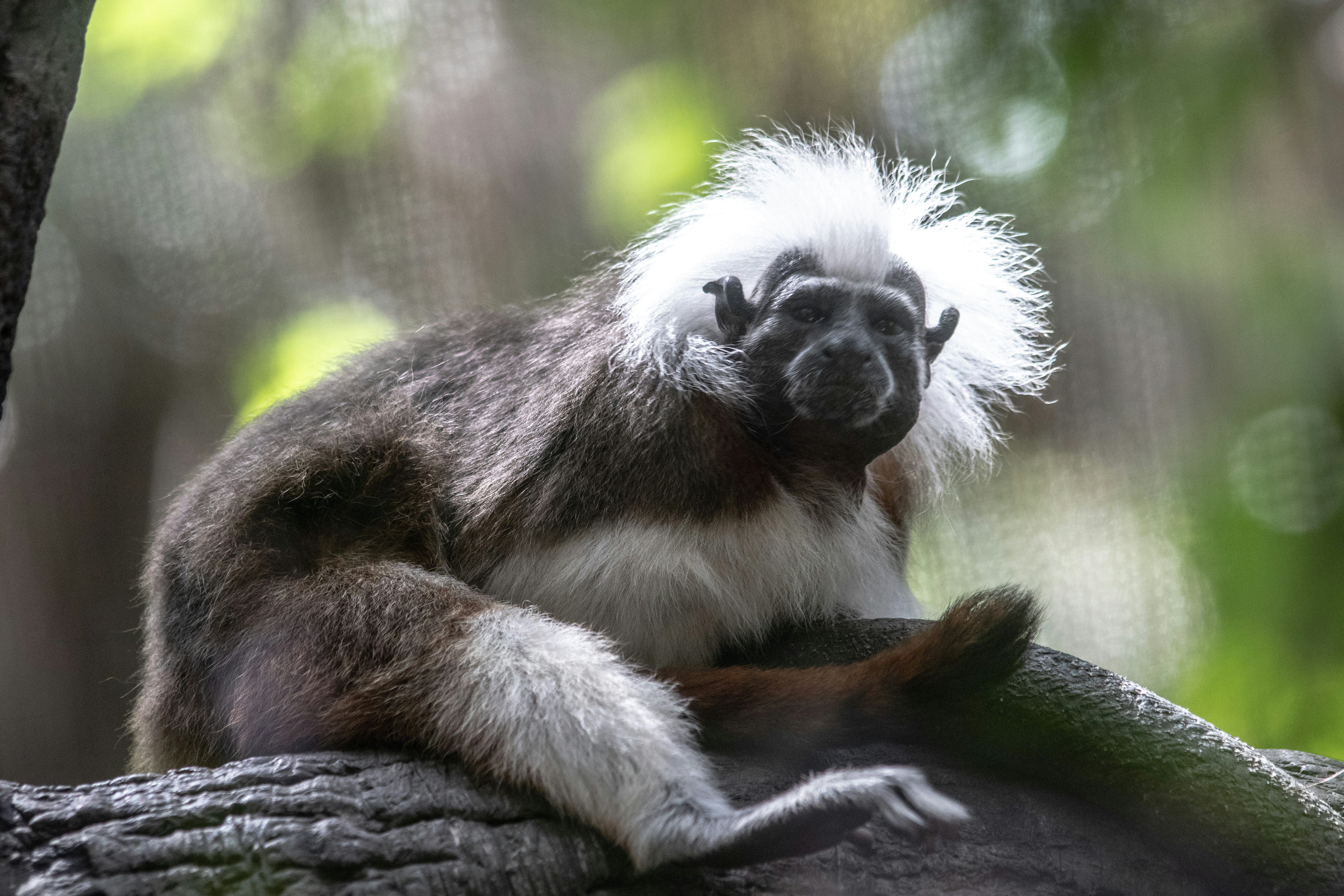 Photo by jacqueline_flock