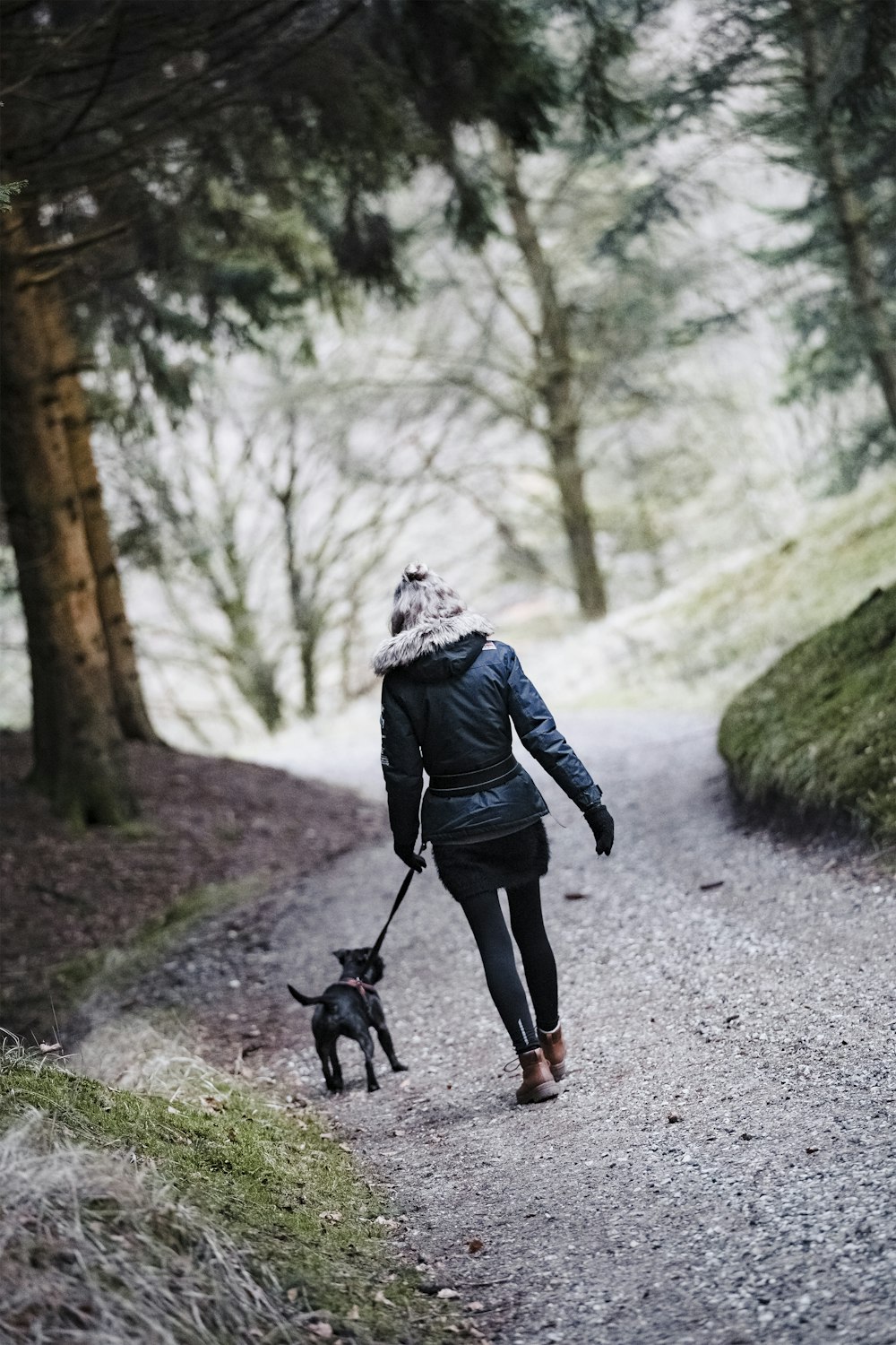 a person walking a dog on a trail in the woods