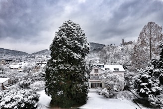 A snowy landscape featuring a residential area with houses surrounded by snow-covered trees. A large evergreen tree stands prominently in the foreground, while a historic building is visible on a hill in the distance under a cloudy sky.