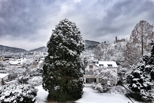 A snowy landscape featuring a residential area with houses surrounded by snow-covered trees. A large evergreen tree stands prominently in the foreground, while a historic building is visible on a hill in the distance under a cloudy sky.