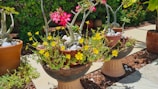 Colorful planters arranged on a patio, filled with blooming flowers nurtured by FuturioHub supplies.