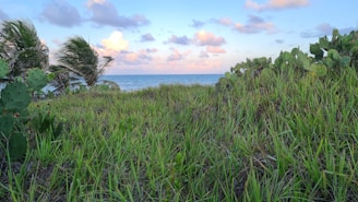 A warm, inviting Mexican coastal landscape with gentle waves and soft sunlight.