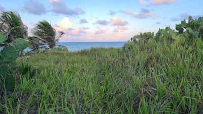 A warm, inviting Mexican coastal landscape with gentle waves and soft sunlight.