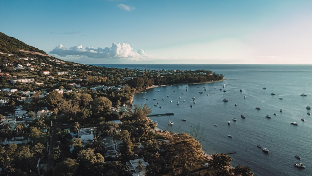 an aerial view of boats in the water