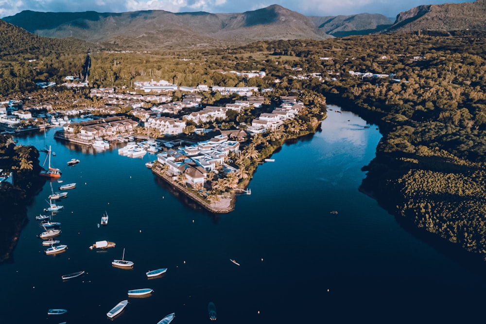 an aerial view of a marina with boats in the water