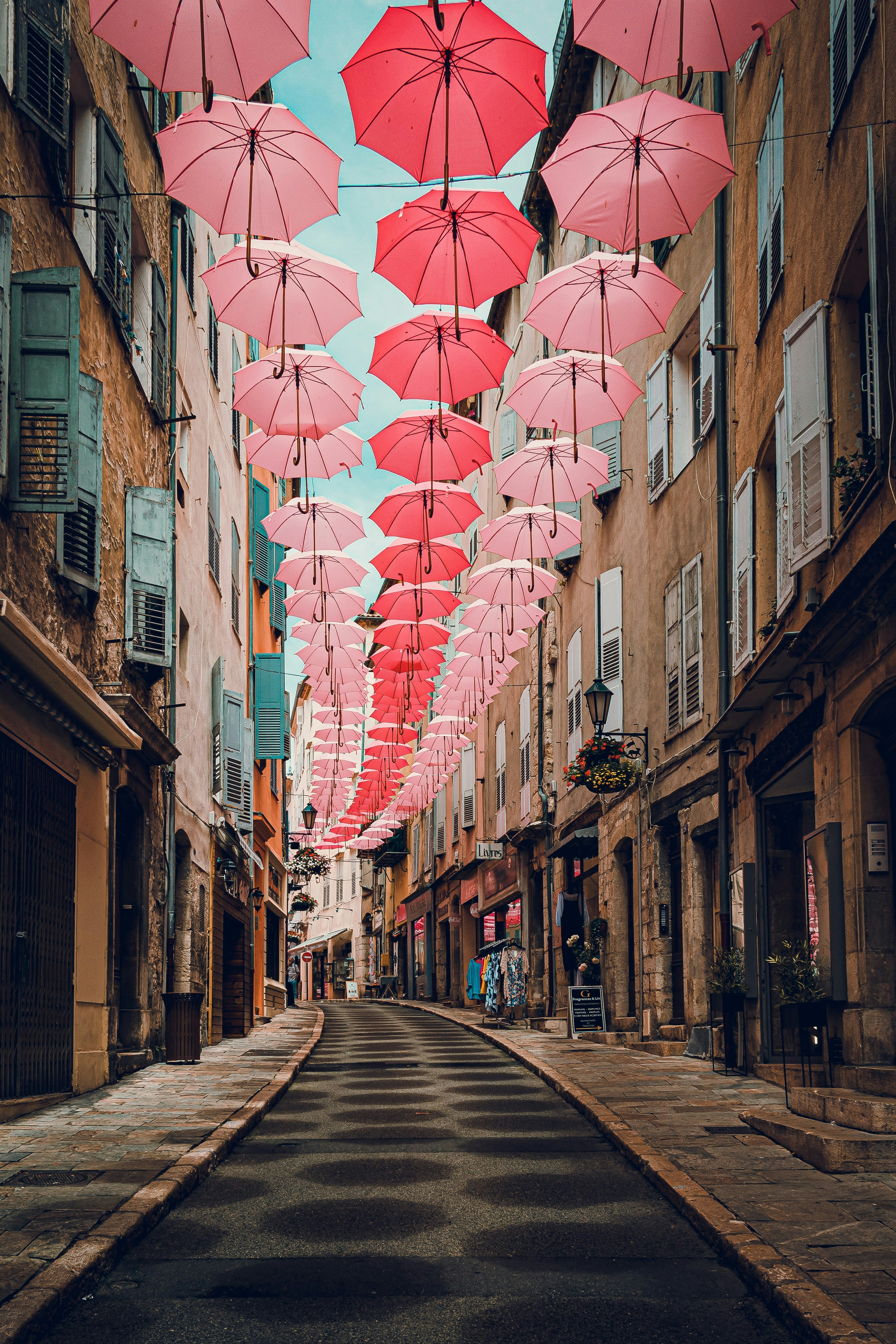Les parapluies roses de grasse - From Rue Amiral de grasse, France