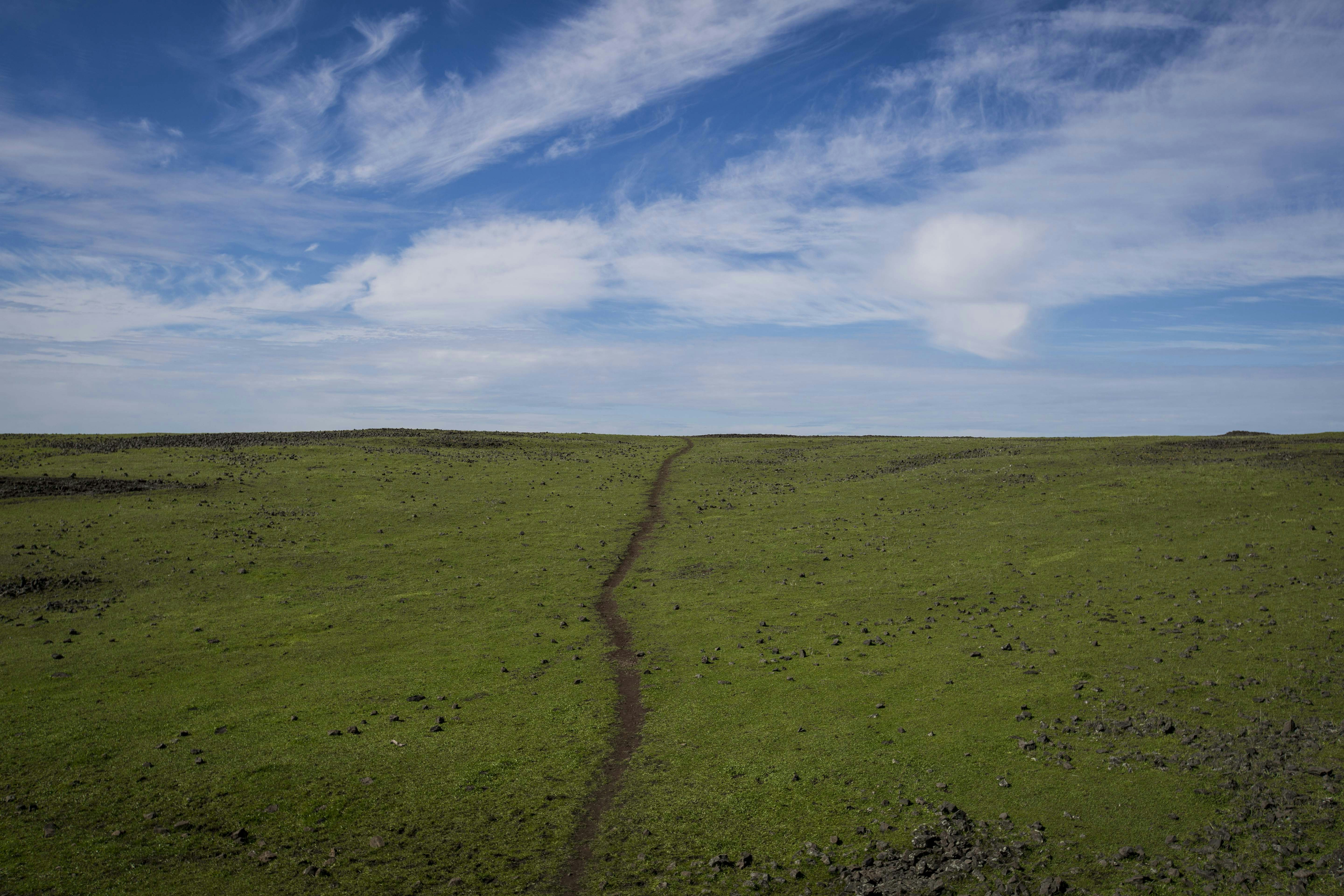 Photo by leo_visions_