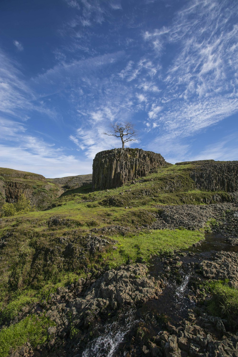 a lone tree on top of a rocky hill