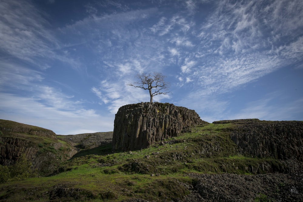 a lone tree on top of a rocky outcropping