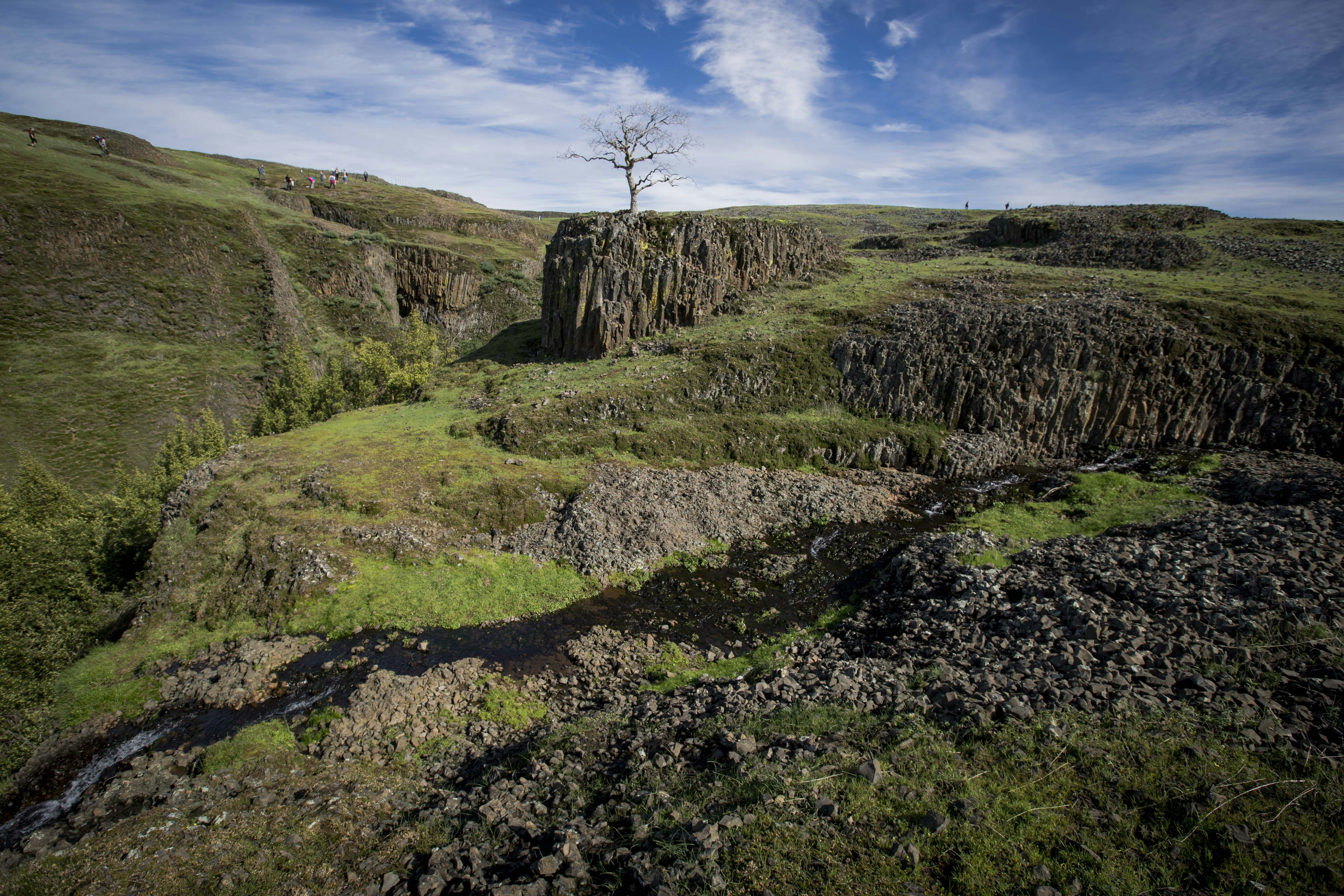 Photo by leo_visions_