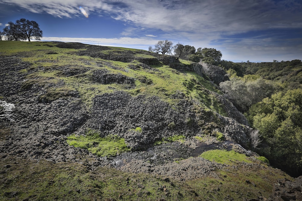 a grassy hill with trees on top of it