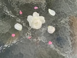 An elegant centerpiece adorned with delicate floral textures.