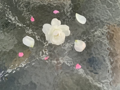 A delicate flower crafted from broken ceramic petals and smooth sea glass.