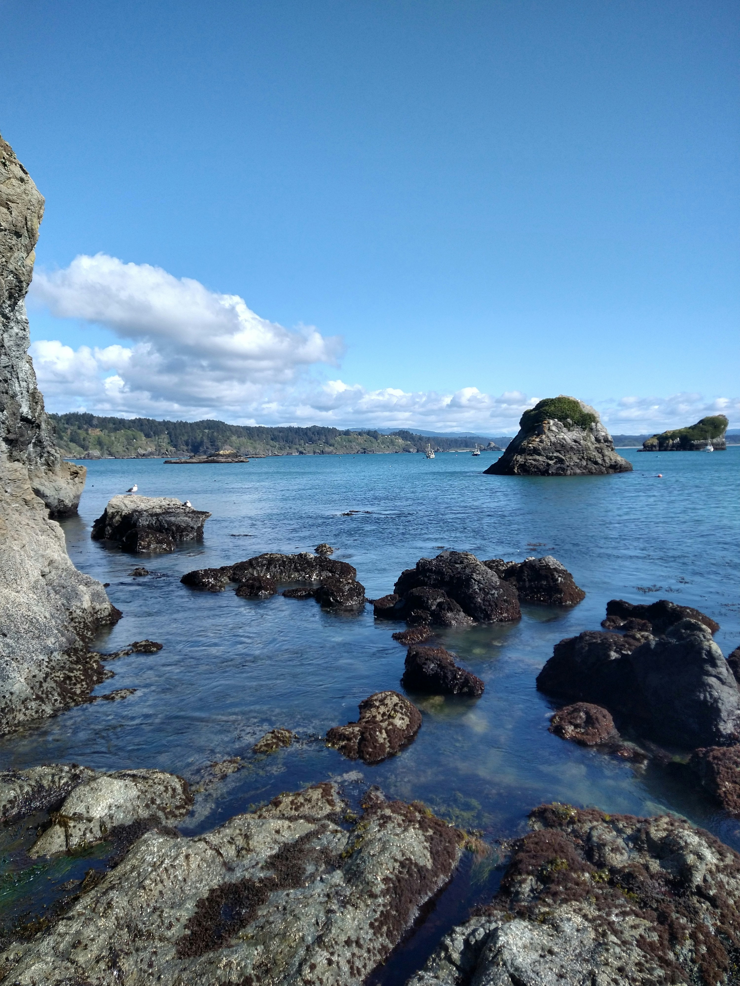 Ilustrasi kolam alami pantai