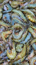 a bunch of shrimp that are laying on the ground