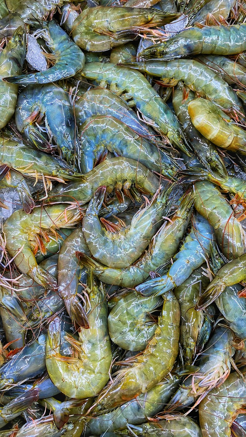 Fresh shrimp displayed against a clean surface