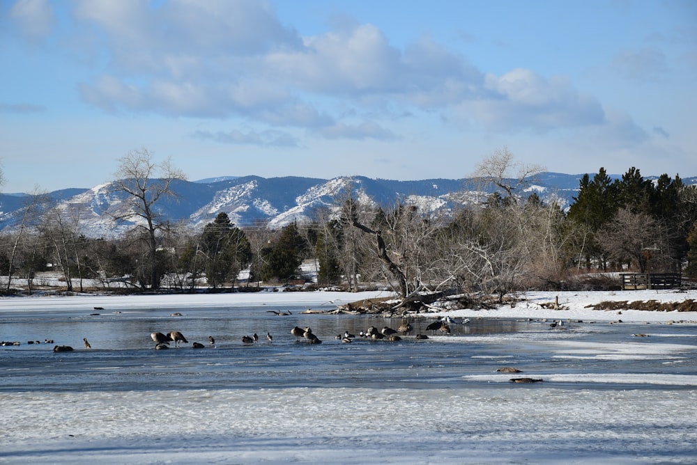 a body of water surrounded by snow covered mountains