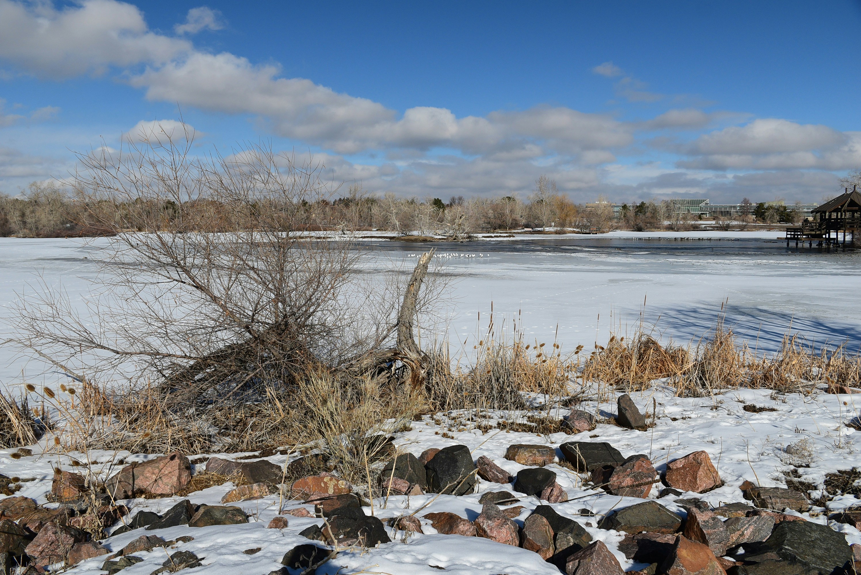 collateral or co-signer