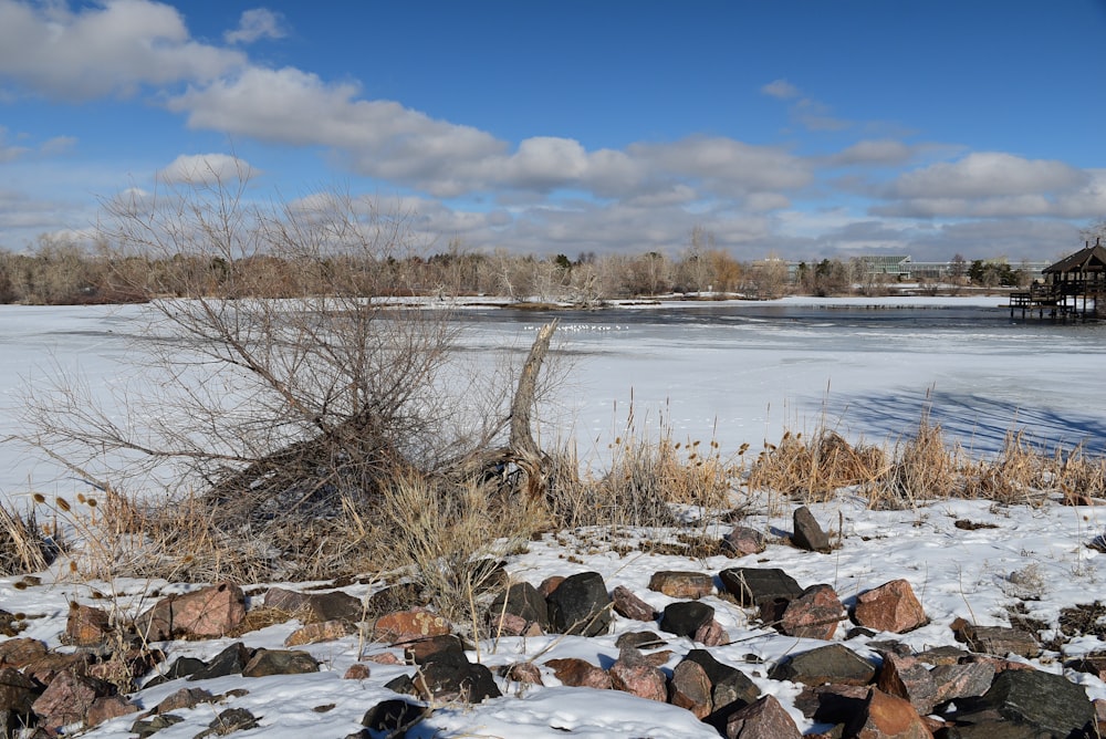 a snow covered field with rocks and a body of water in the background