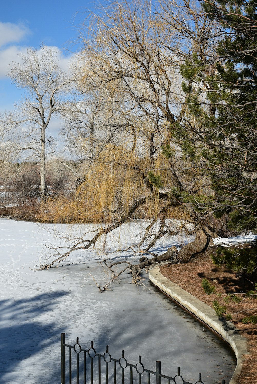 a pond surrounded by snow and trees in a park