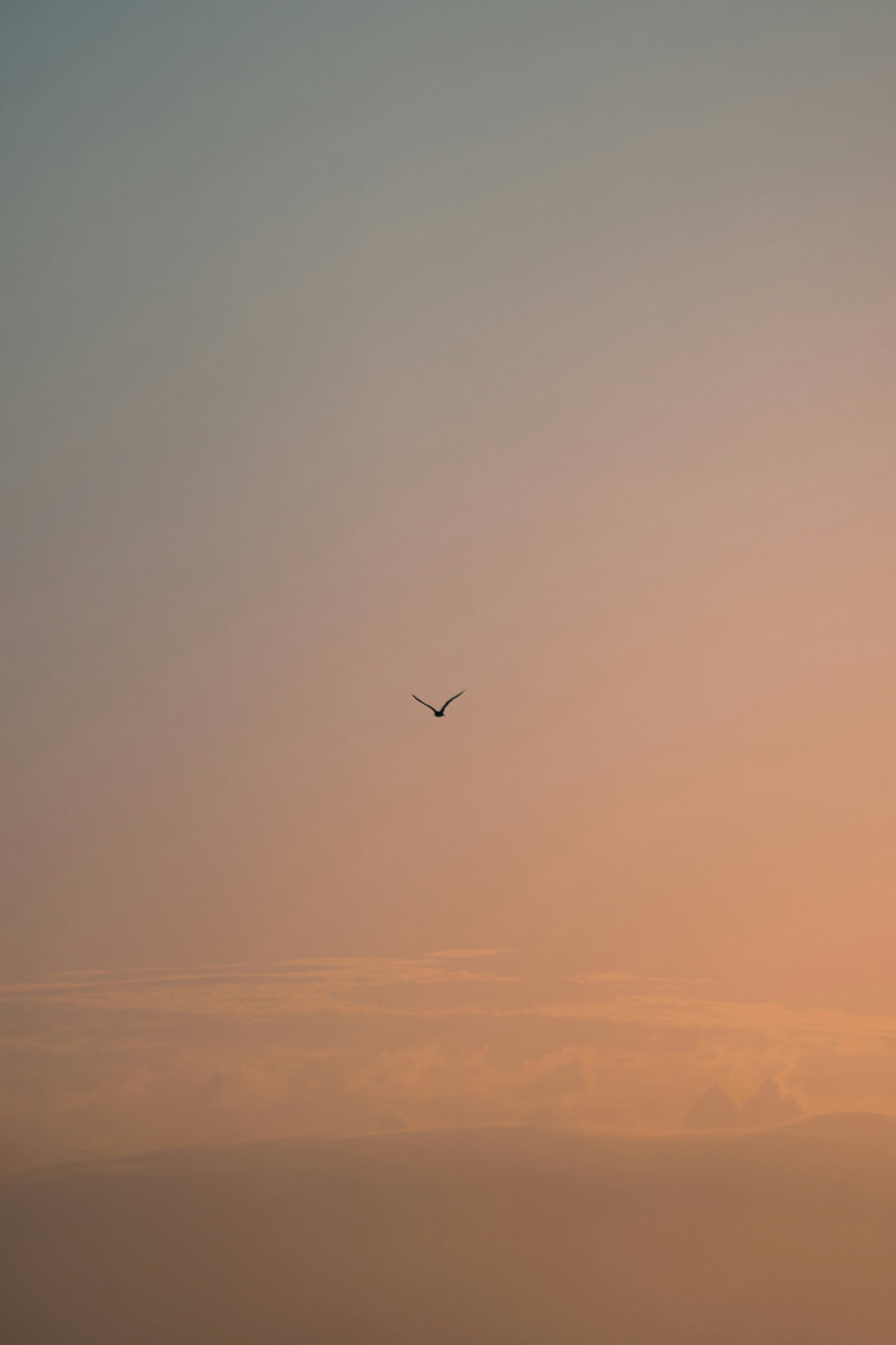 Photo by framesforyourheart