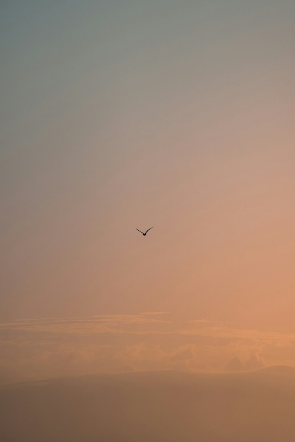 a plane flying in the sky at sunset