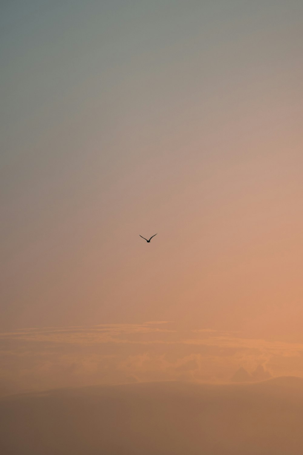 Un aereo che vola nel cielo al tramonto